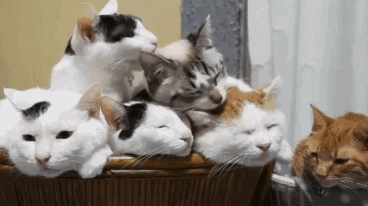 1668656874463872.gif 640.gif